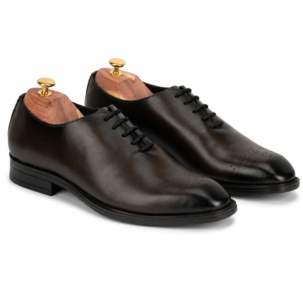 Zamri Dark Brown Wholecut Oxford – Burnished Leather with Medallion Toe