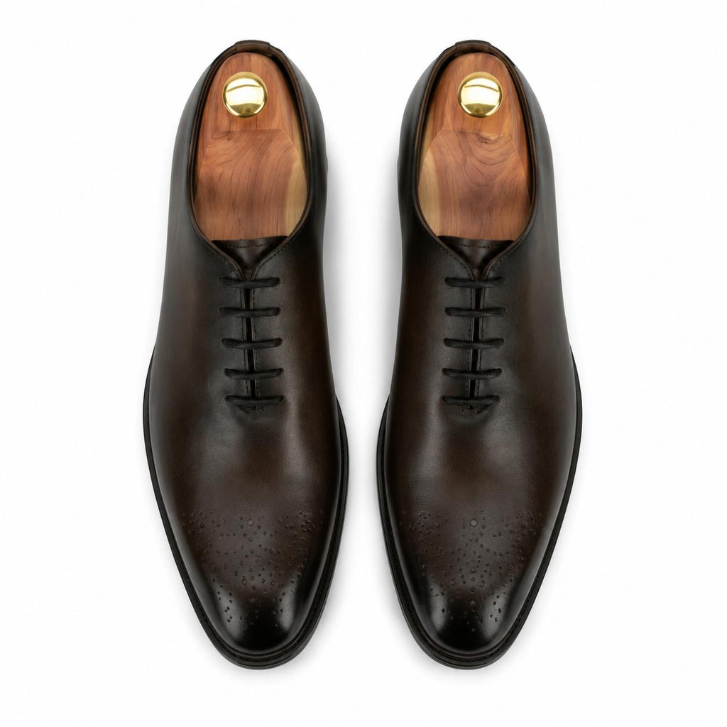 Zamri Dark Brown Wholecut Oxford – Burnished Leather with Medallion Toe